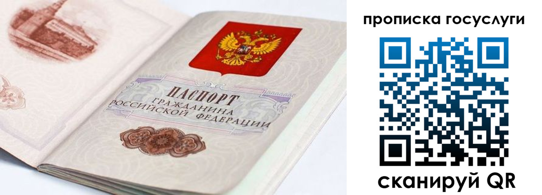 прописка гарантия в Ворсме